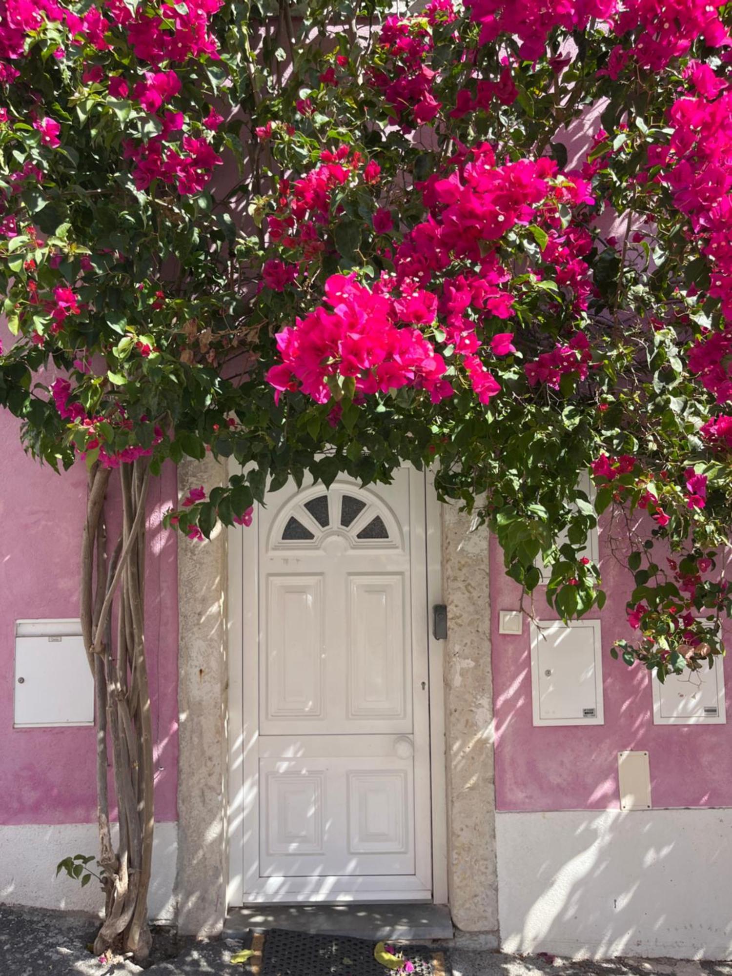 Casa Cor De Rosa Apartment Lisbon Exterior photo