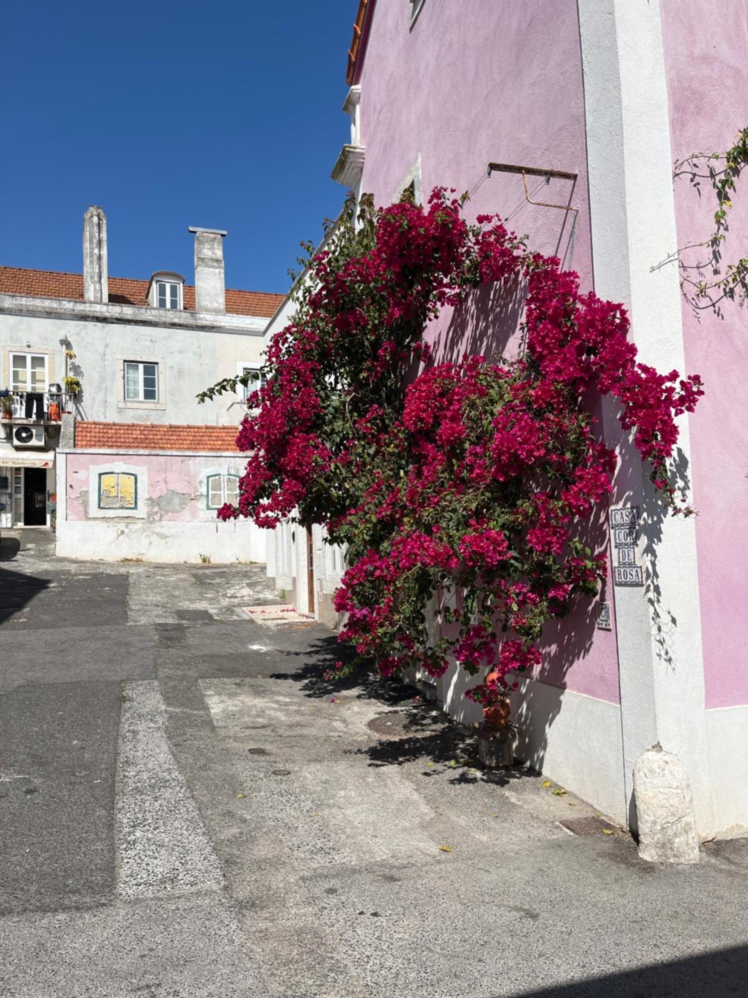 Casa Cor De Rosa Apartment Lisbon Exterior photo
